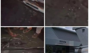 真慌了！巴基斯坦0:6干掉印度战机后，印度突然宣布全国演习
