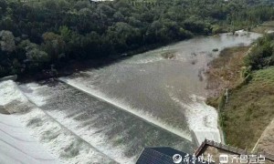 “鱼多得数不过来，一网子下去能捞好几条”济南锦绣川水库开闸放水，大量鲢鱼被冲出，工作人员：禁止捕捞！