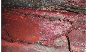 首次发现！海昏侯墓出土秦汉时期全本《诗经》