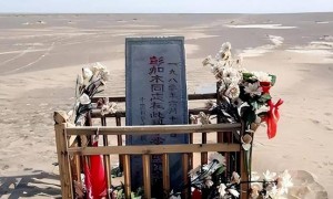 原创 
            消失的彭加木：一场精心策划的逃亡？隐藏在罗布泊的离奇秘密！