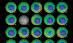 小时候课本上的臭氧层空洞，现在怎么没人提了？