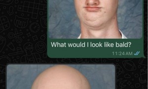 抄元宝融入微信的模式？Perplexity无缝接入WhatsApp