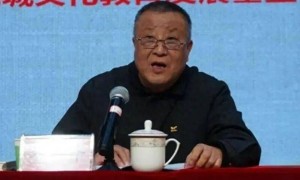 涉嫌严重违纪违法，退休17年的方平被查