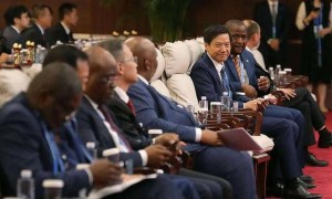“非洲之王”，被小米们偷了家？